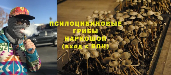 спиды Алексин