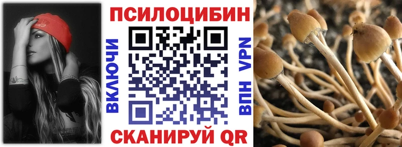 Галлюциногенные грибы Psilocybe  цена наркотик  Клинцы 