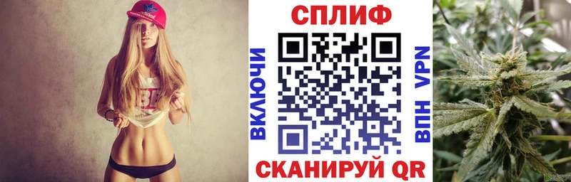 omg ссылка  Клинцы  Бошки Шишки SATIVA & INDICA 